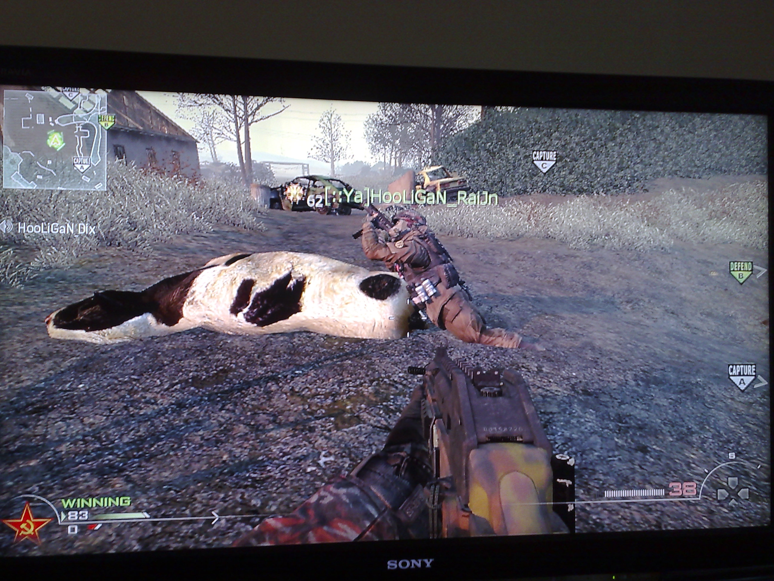 Cow fucker!!!